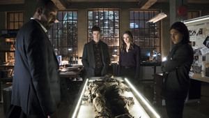 Qui est Harrison Wells?