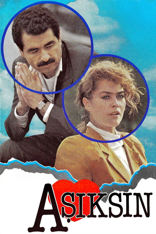 Okay, so I need to translate this Turkish text into German. The text is "Sen Aşıksın Arkadaş". Let me first make sure I understand what this Turkish sentence means.First, breaking down the Turkish sentence. "Sen" is "you